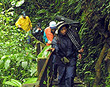 Cloud forest tour